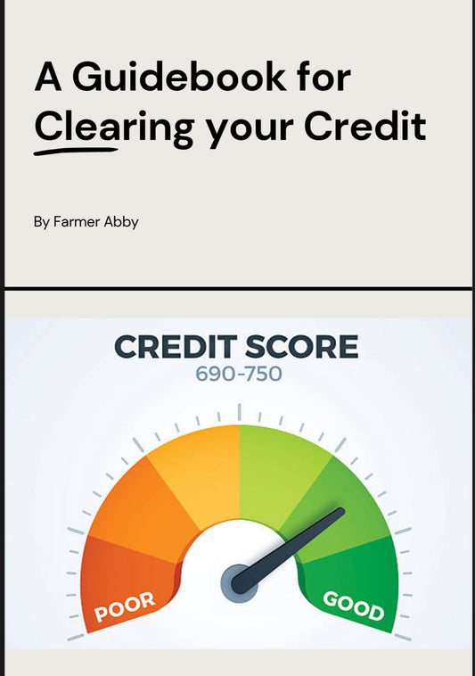 Guide to clearing your Credit