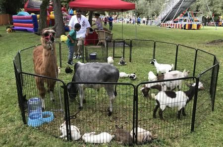 Mobile Petting Zoo